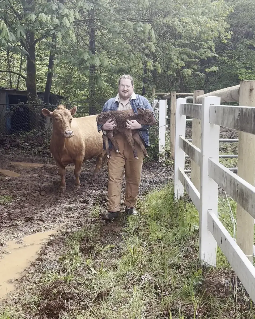 Mike Allen carrying a newborn calf along a white fence on his Oregon farm, its mother following